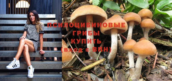 стаф Мегион