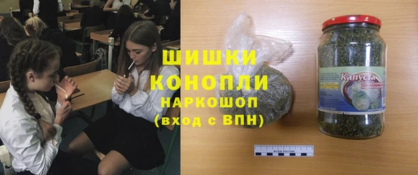 шишки Новодвинск
