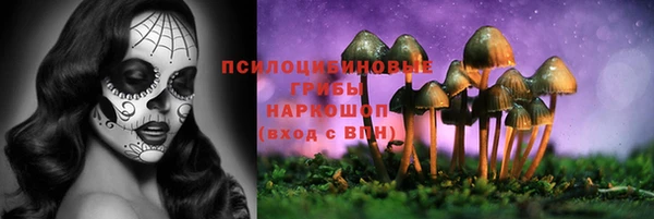 гидропоника Новозыбков