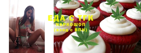 шишки Новодвинск