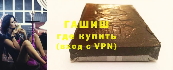 шишки Новодвинск