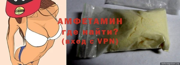 шишки Новодвинск