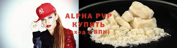 шишки Новодвинск