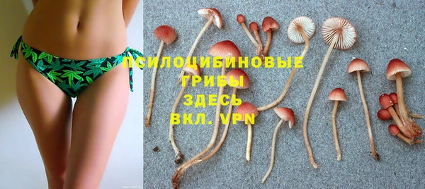 сатива Медногорск