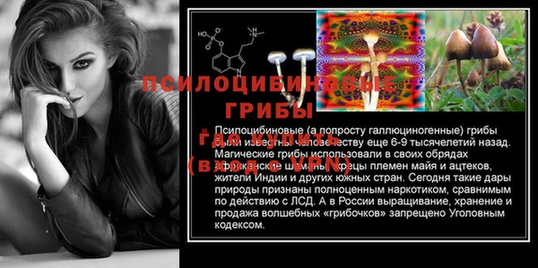 шишки Новодвинск