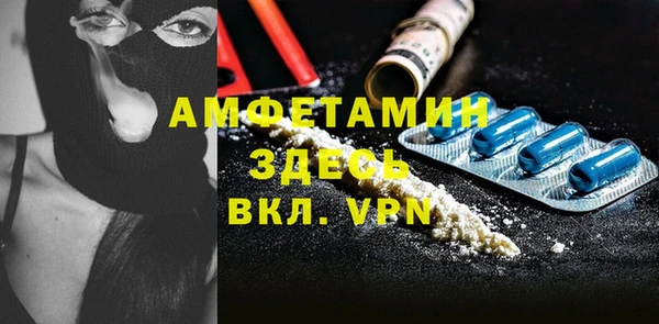 шишки Новодвинск