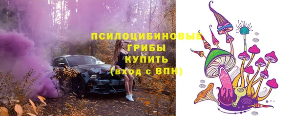 гидропоника Новозыбков
