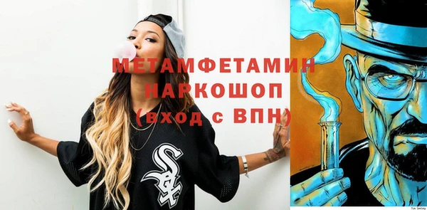шишки Новодвинск